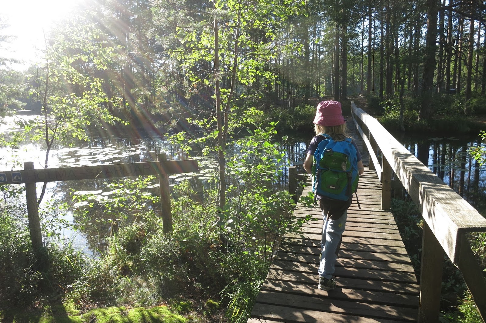 Holma-Saarijärvi, Nuuksio