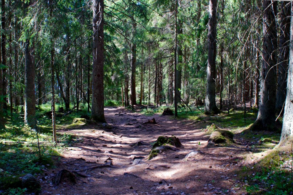 Polku Siikaniemestä Holma-Saarijärvelle