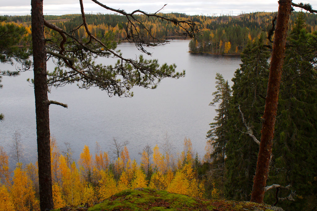 Näkymä Linnavuoren päältä alas järvelle