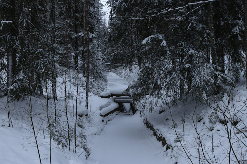 Kuutinkanavan uittoränni