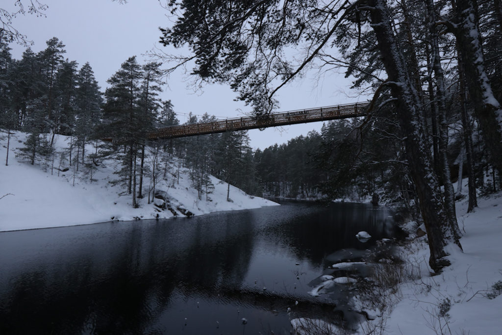 Lapinsalmen riippusilta alhaaltapäin