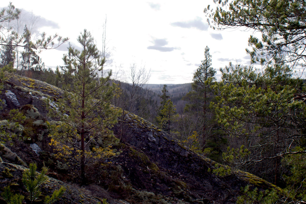 Näköala Mummusalin kalliolta