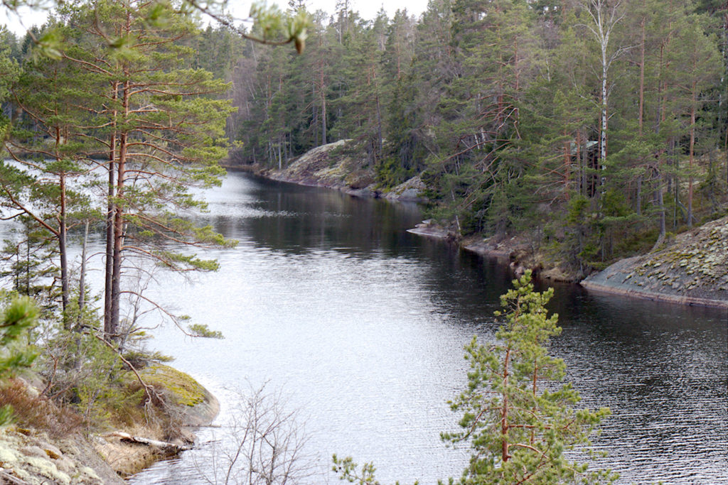 Grabbskog Storträsket Peikkometsän polulta nähtynä