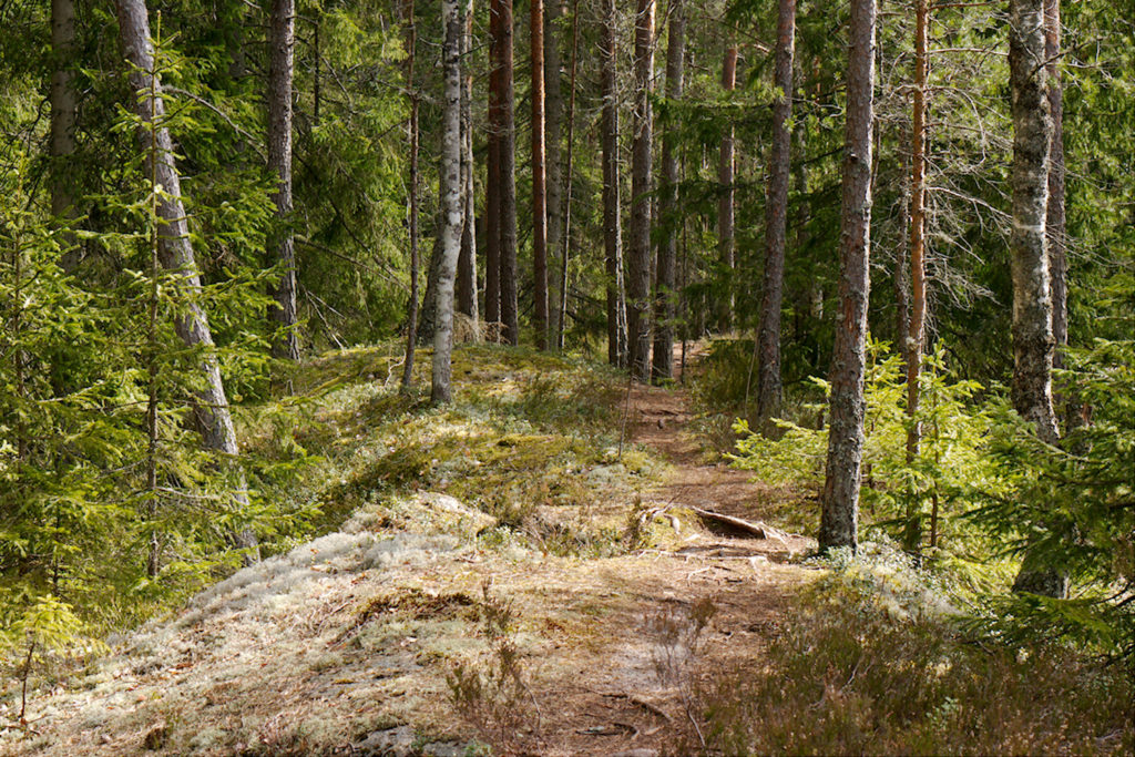 Peikkometsän polku