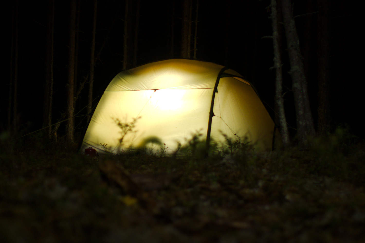 Valaistu teltta pimeässä metsässä