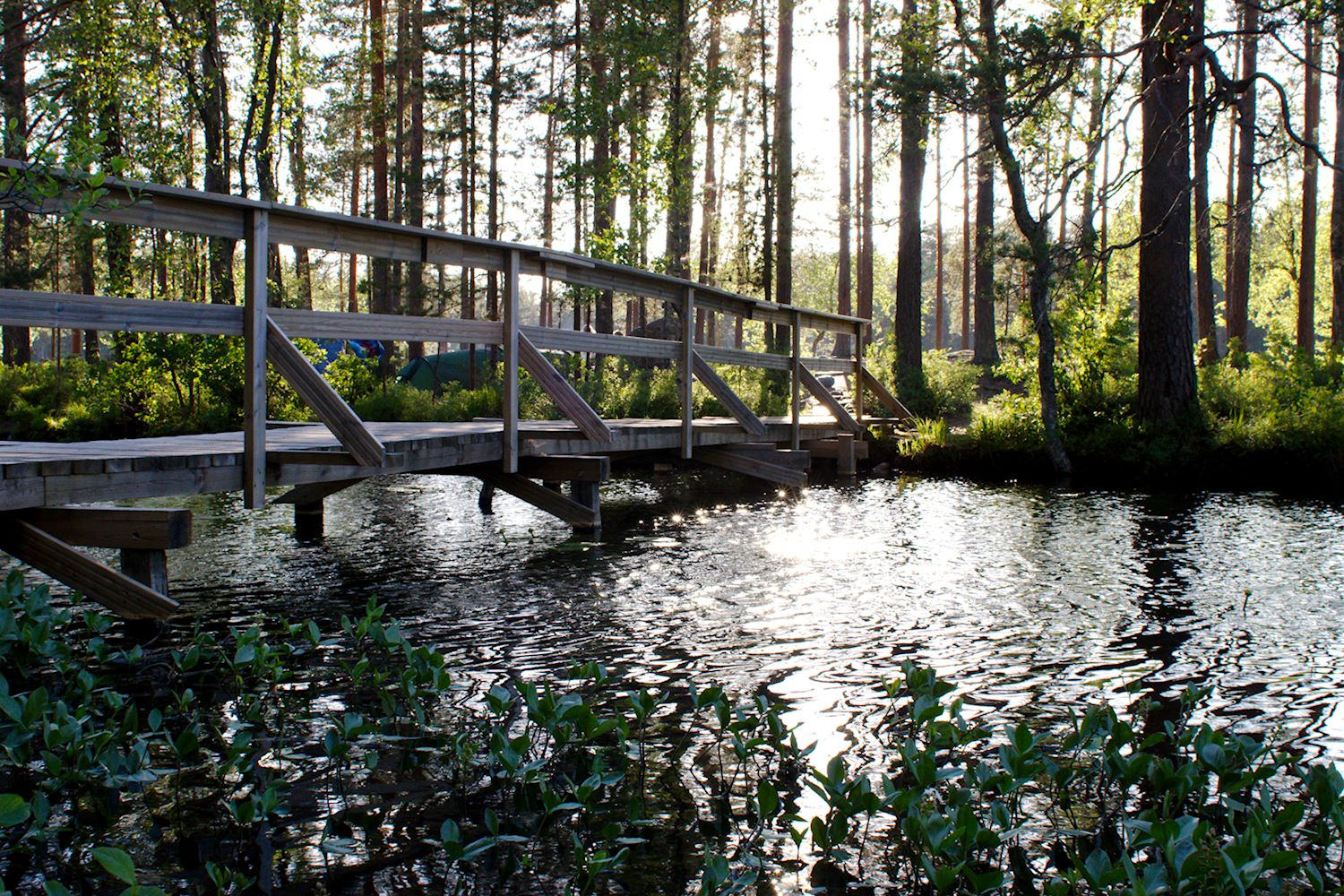 Kesänviettoa Holma-Saarijärvellä