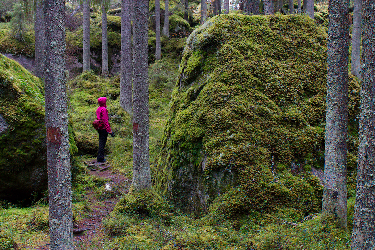 Syysviikonloppu Isojärven kansallispuistossa