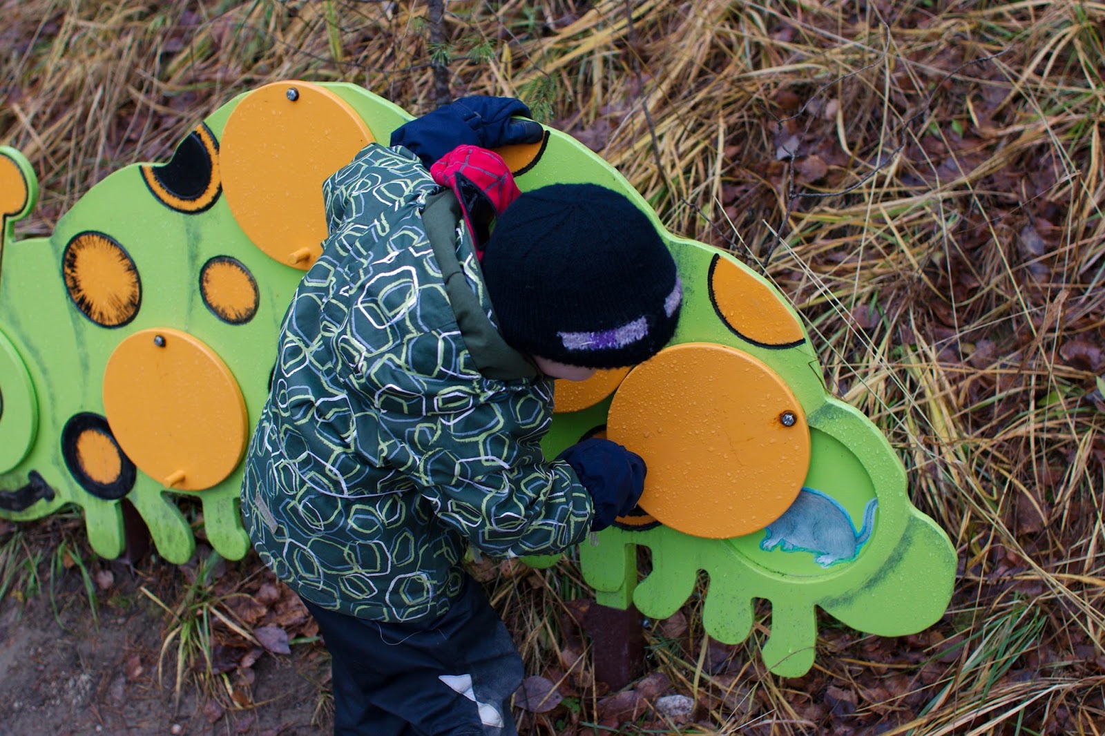 Kurkistusluukku Punaisen sulan luontopolulla