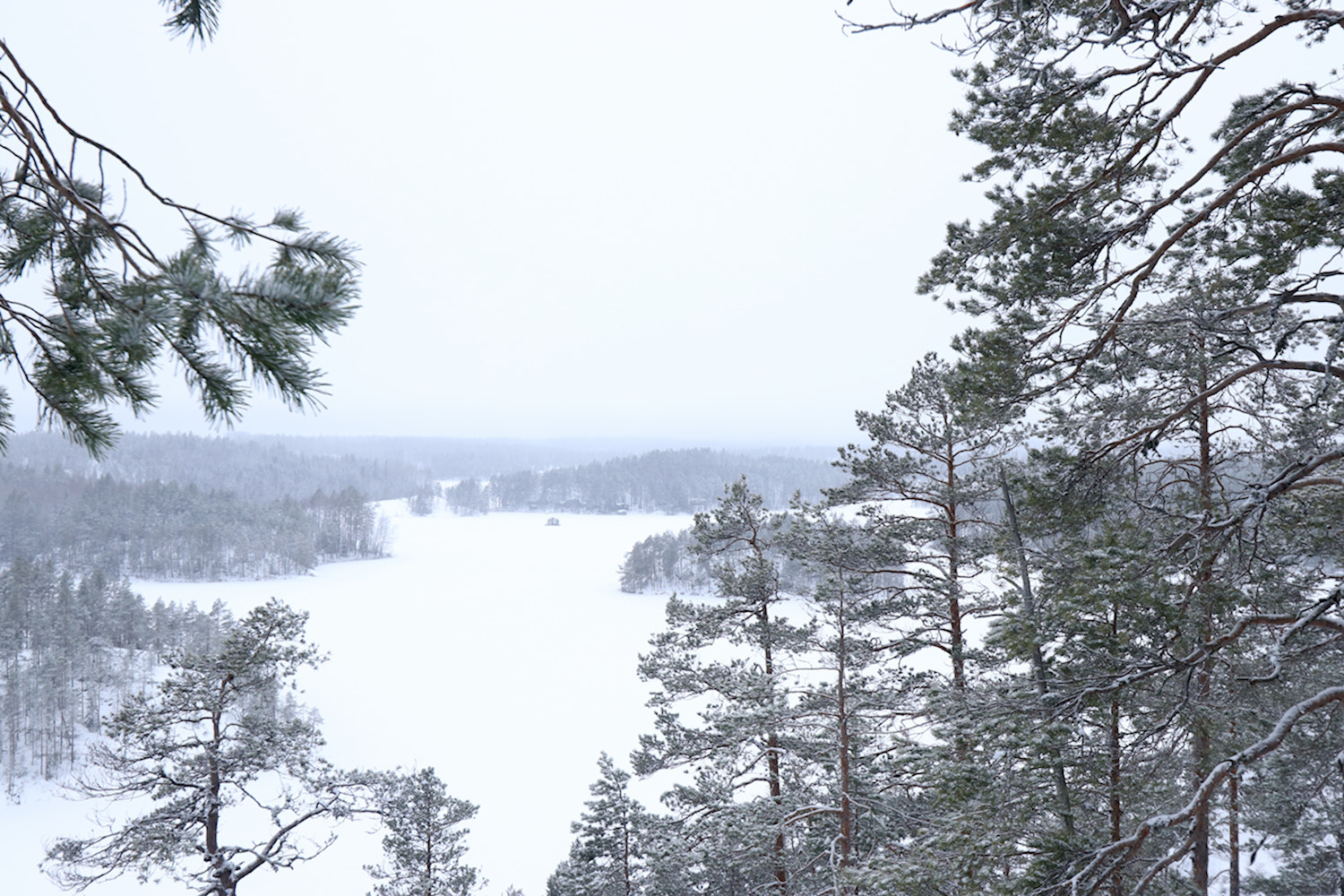 Näköala Katajavuoren päältä