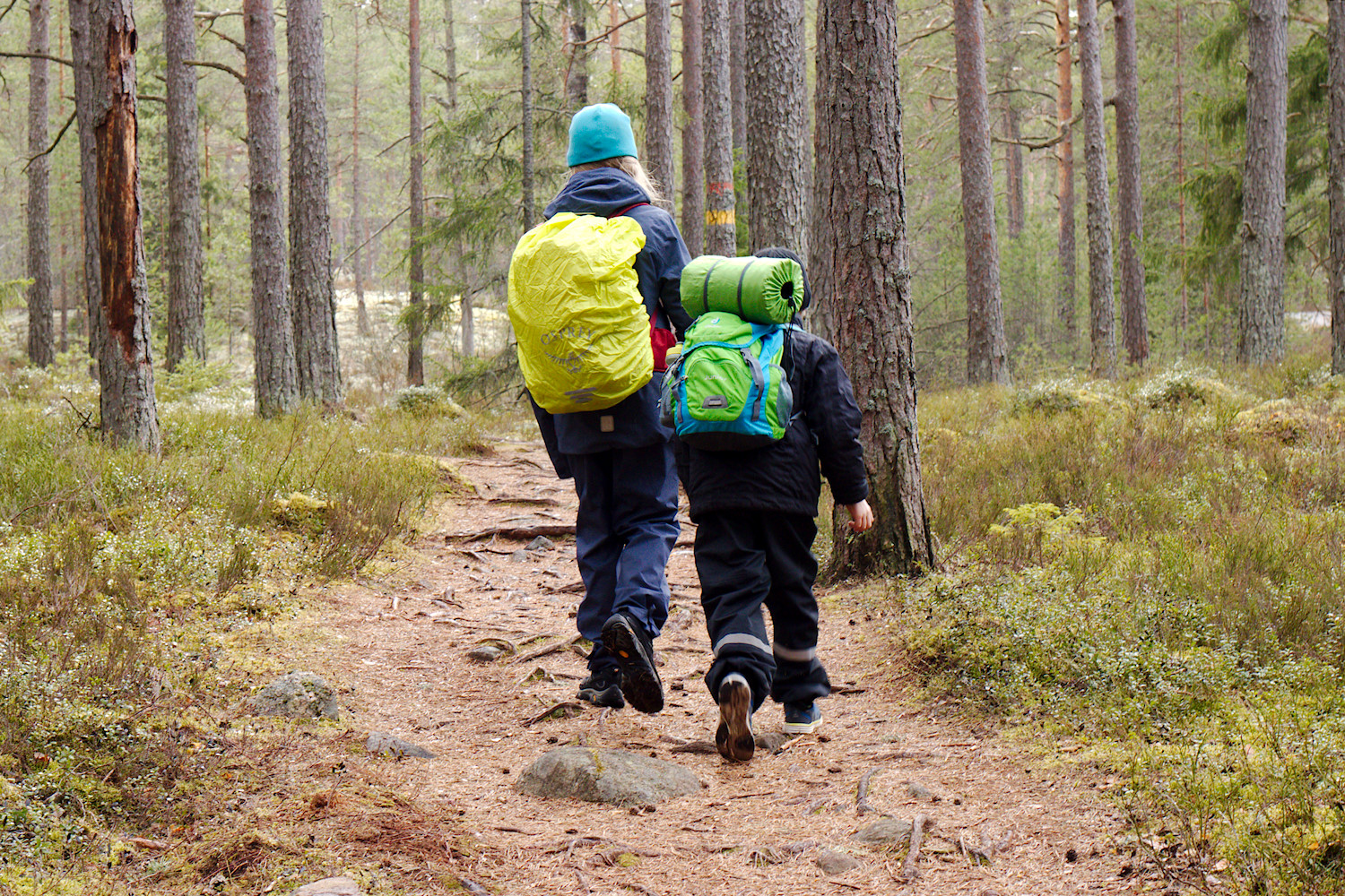 Lasten kanssa yötä Peikkometsän laavulla