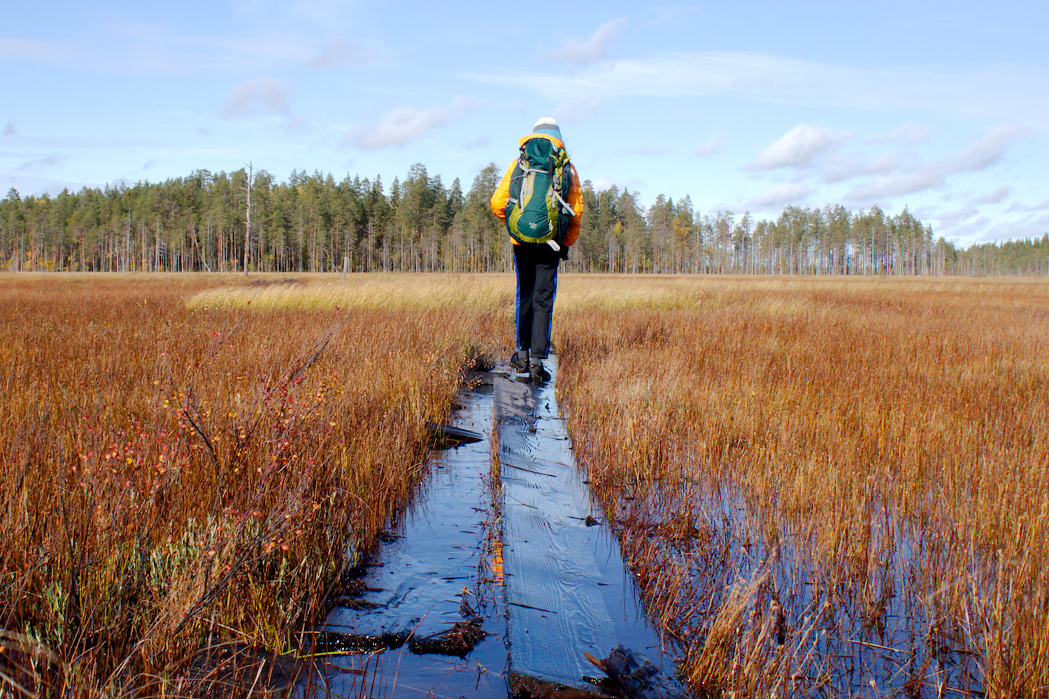 Lapsen kanssa vaeltamaan: Patvinsuo