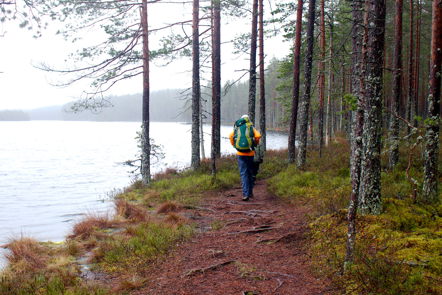 Itsenäisyyspäivän telttaretki Lopen Luutasuolle