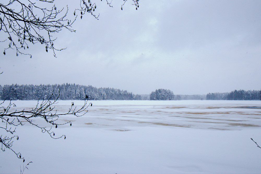 Liesjärvi talvella