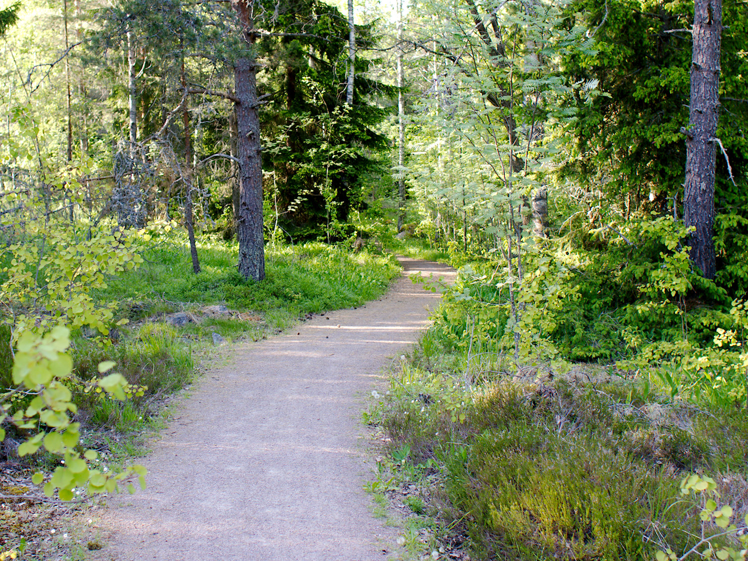 Helppokulkuinen polku Sandvikenin ja Klobbackan välillä